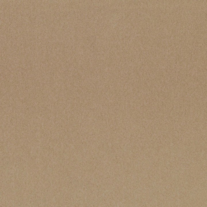 F5796 Beige by Greenhouse Designer Fabric - 100% Polyester China 100000 None 56" - Swanky Fabrics -