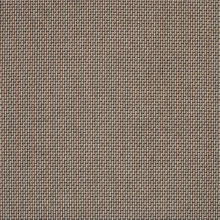Greenhouse Fabric F5799 Alloy - 100% Polyester China 50000 None 57" - My Fabric Connection -