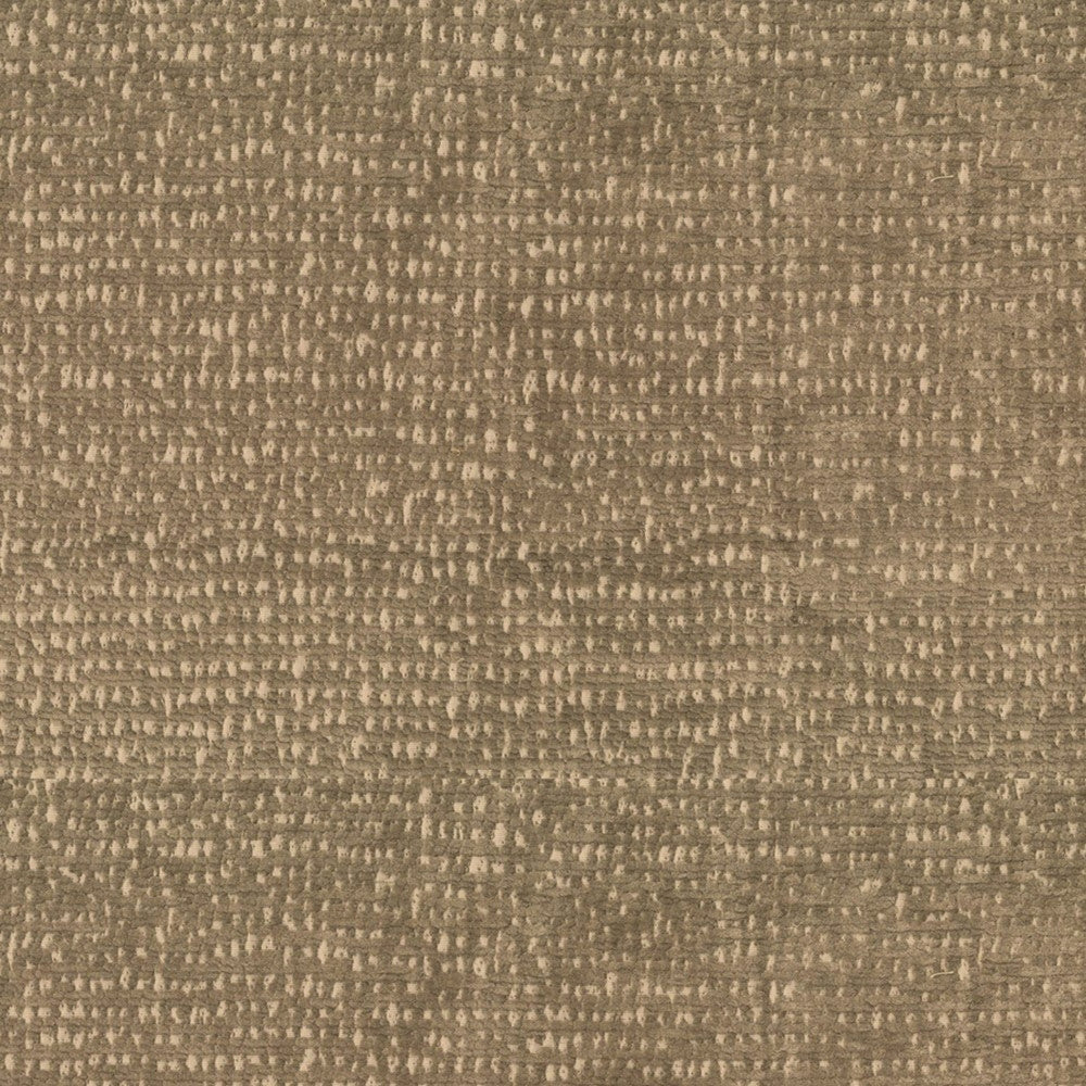 Greenhouse Fabric F5804 Wren - 97% Polyester, 3% Cotton China 50000 None 55" - My Fabric Connection -