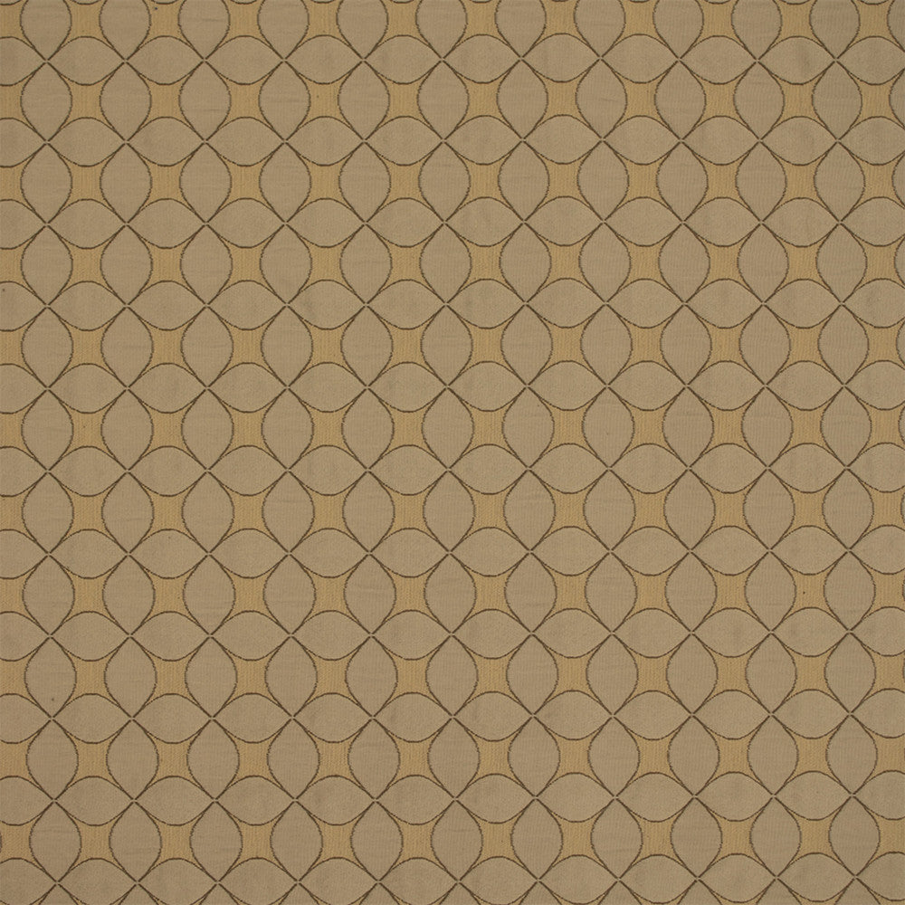 Greenhouse Fabric F5805 Mushroom - 52% Cotton, 48% Polyester China 50000 2.5" H, 2.5" V 54" - My Fabric Connection -