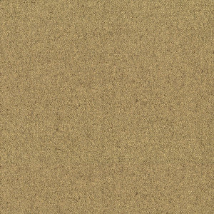 Greenhouse Fabric F5847 Sawgrass