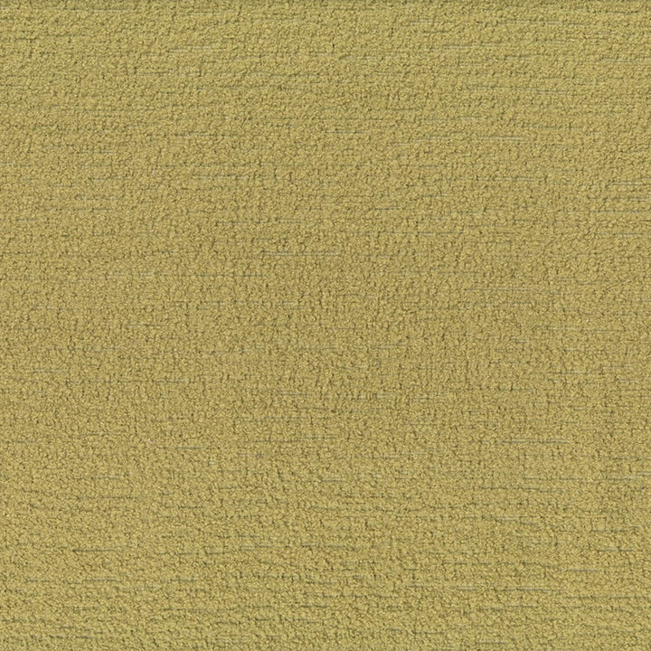 Greenhouse Fabric F5848 Apple - 100% Polyester China 125000 None 57" - My Fabric Connection -
