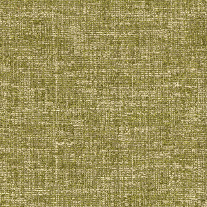 Greenhouse Fabric F5849 Wasabi - 100% Polyester China 100000 None 56" - My Fabric Connection -