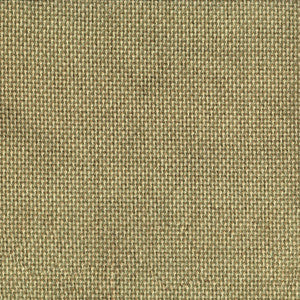 Greenhouse Fabric F5855 Lichen