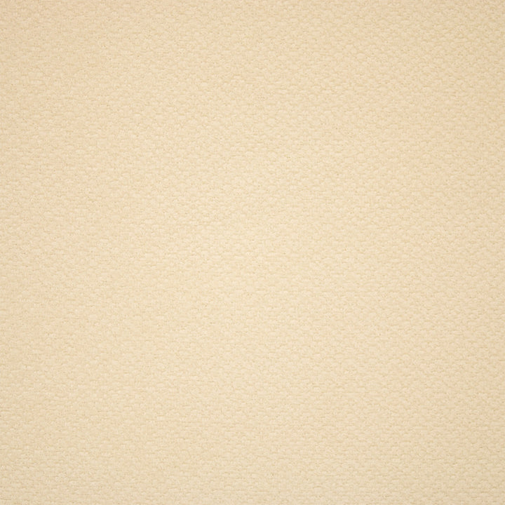 Greenhouse Fabric F5905 Snow - 100% Polyester China 25000 None 55" - My Fabric Connection -