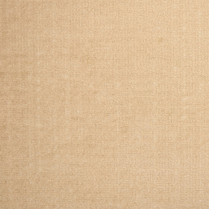 Greenhouse Fabric F5907 Beige - 100% Polyester China 35000 None 56" - My Fabric Connection -
