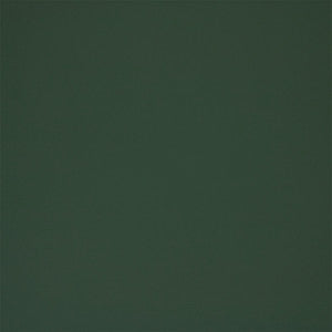 Greenhouse Fabric F5931 Seaglass