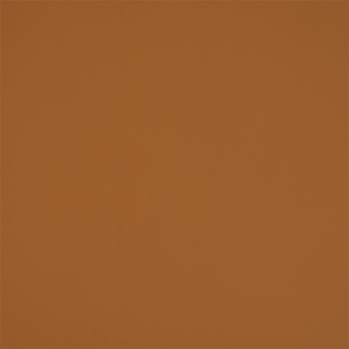 Greenhouse Fabric F5938 Caramel - 100% Pvc Polyester, Backing: 100% Polyester China 150000 None 54" - My Fabric Connection -