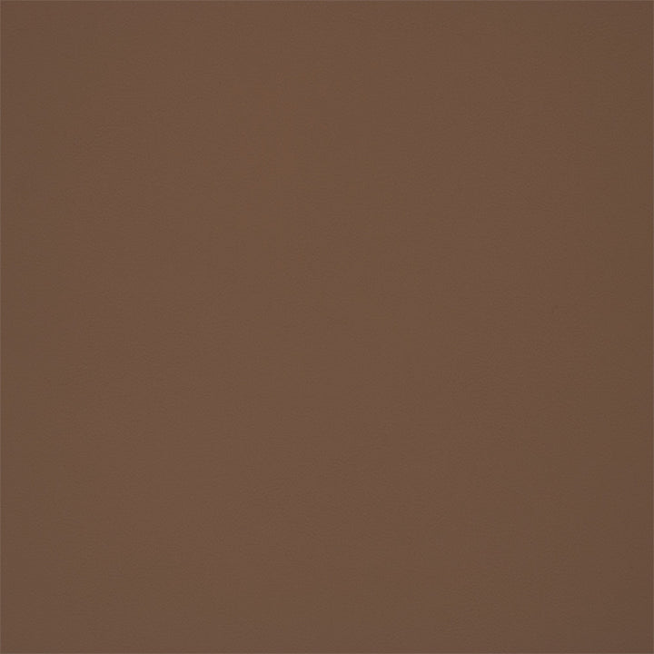 Greenhouse Fabric F5942 Latte - 100% Pvc Polyester, Backing: 100% Polyester China 150000 None 54" - My Fabric Connection -