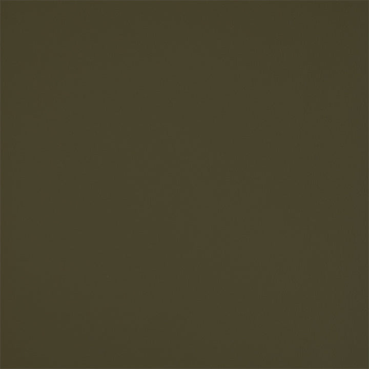 Greenhouse Fabric F5949 Aloe - 100% Pvc Polyester, Backing: 100% Polyester China 150000 None 54" - My Fabric Connection -