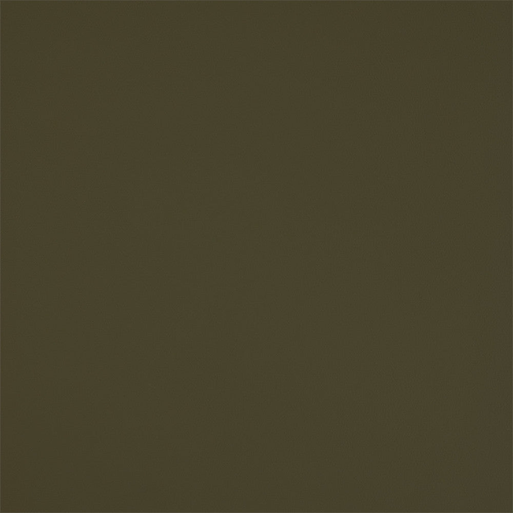 Greenhouse Fabric F5949 Aloe - 100% Pvc Polyester, Backing: 100% Polyester China 150000 None 54" - My Fabric Connection -