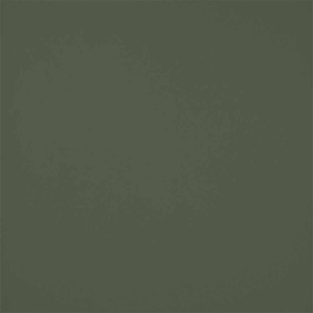 Greenhouse Fabric F5952 Amazon - 100% Pvc Polyester, Backing: 100% Polyester China 150000 None 54" - My Fabric Connection -