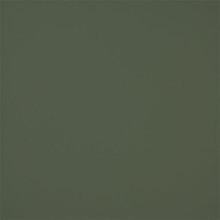 Greenhouse Fabric F5952 Amazon - 100% Pvc Polyester, Backing: 100% Polyester China 150000 None 54" - My Fabric Connection -