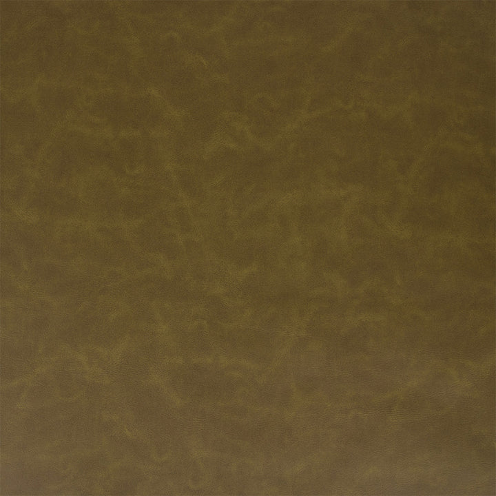 Greenhouse Fabric F5981 Grass - 100% Pvc Polyester, Backing: 100% Polyester China 100000 UTR 54" - My Fabric Connection -