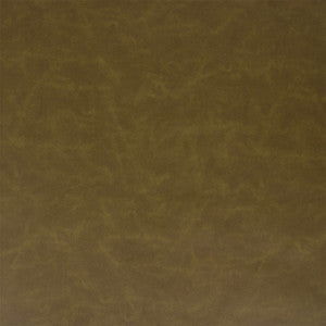 Greenhouse Fabric F5981 Grass