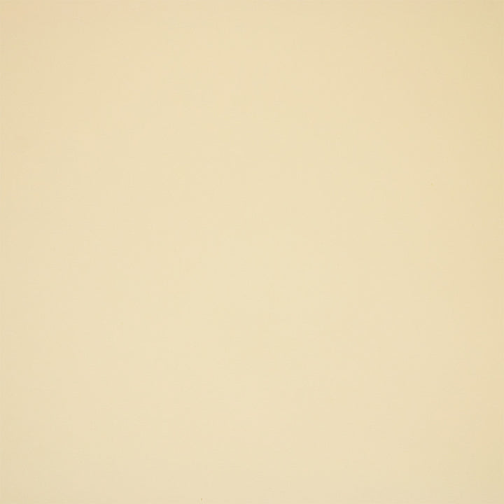 Greenhouse Fabric F5983 White - 100% Pvc Polyester, Backing: 100% Polyester China 100000 UTR 54" - My Fabric Connection -