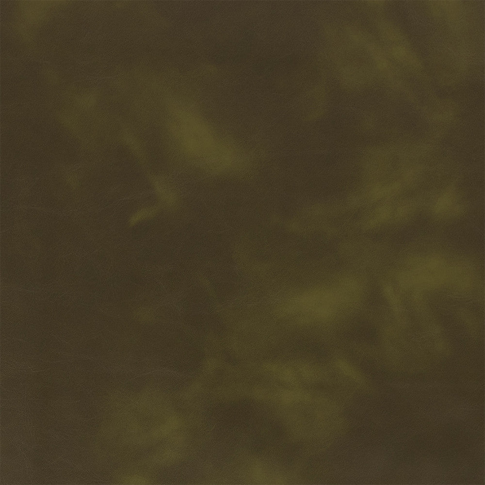 Greenhouse Fabric F5993 Forest - 100% Pvc Polyester, Backing: 100% Polyester China 100000 UTR 54" - My Fabric Connection -