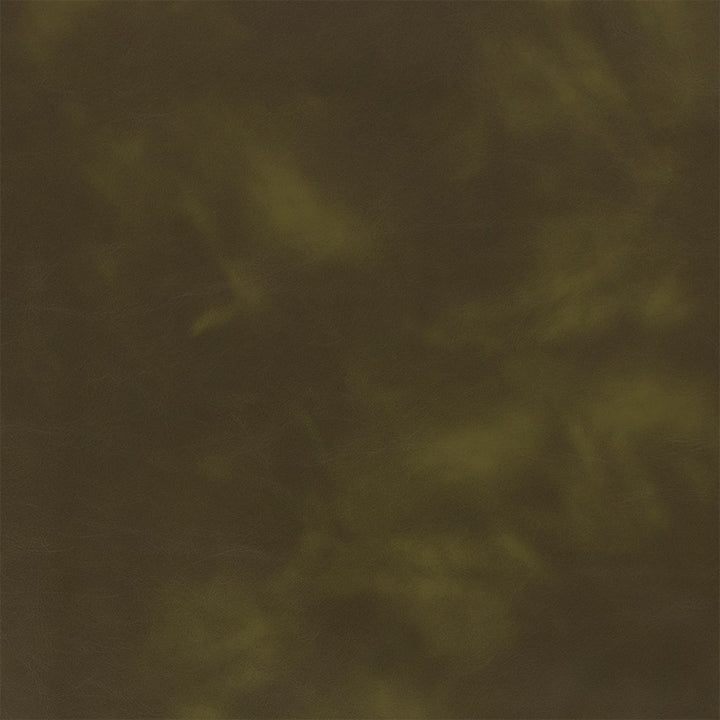 Greenhouse Fabric F5993 Forest - 100% Pvc Polyester, Backing: 100% Polyester China 100000 UTR 54" - My Fabric Connection -