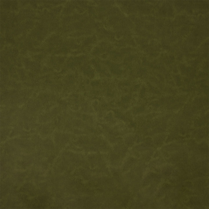 Greenhouse Fabric F5994 Landscape - 100% Pvc Polyester, Backing: 100% Polyester China 100000 UTR 54" - My Fabric Connection -