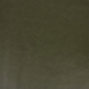 Greenhouse Fabric F5995 Cactus