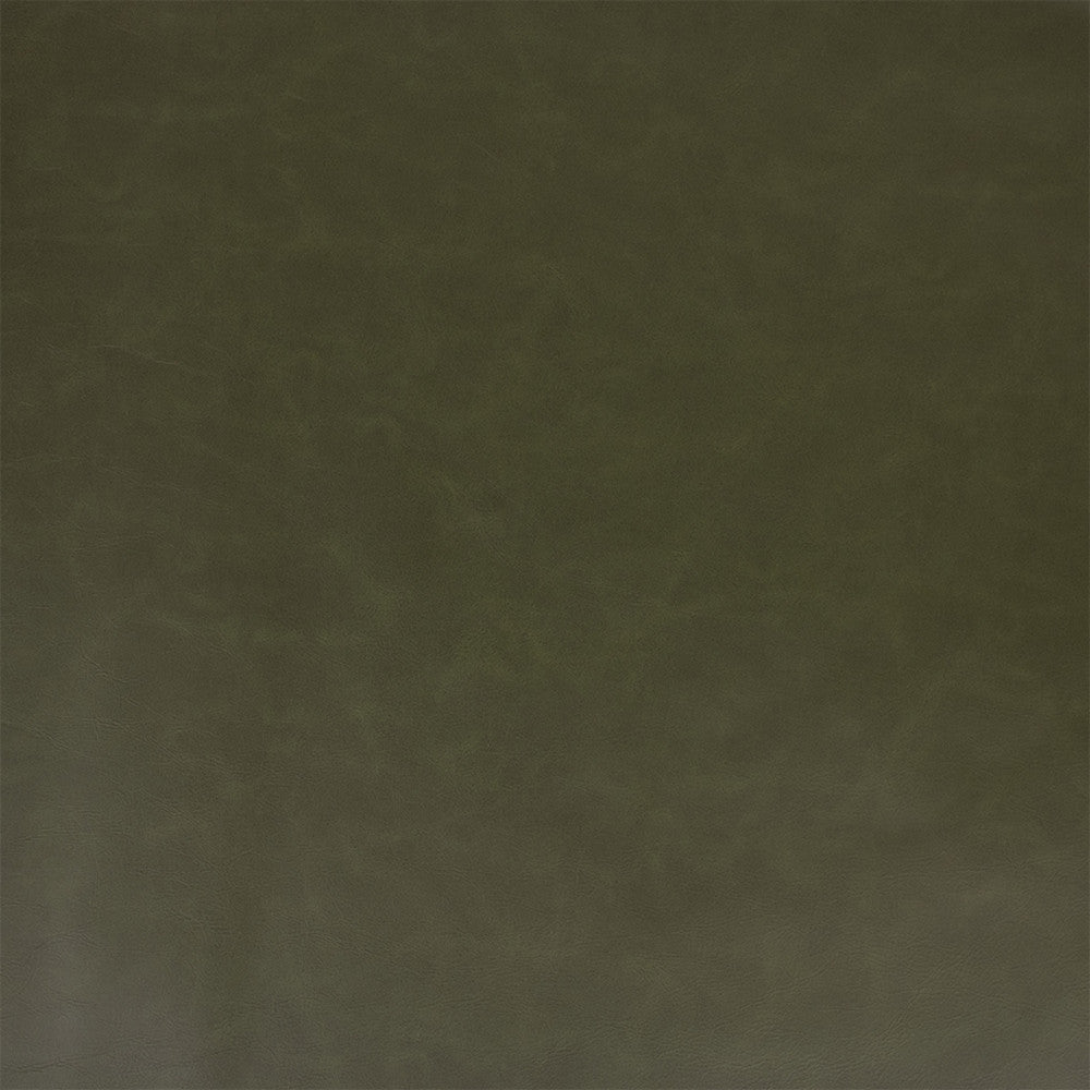 Greenhouse Fabric F5995 Cactus - 100% Pvc Polyester, Backing: 100% Polyester China 100000 UTR 54" - My Fabric Connection -