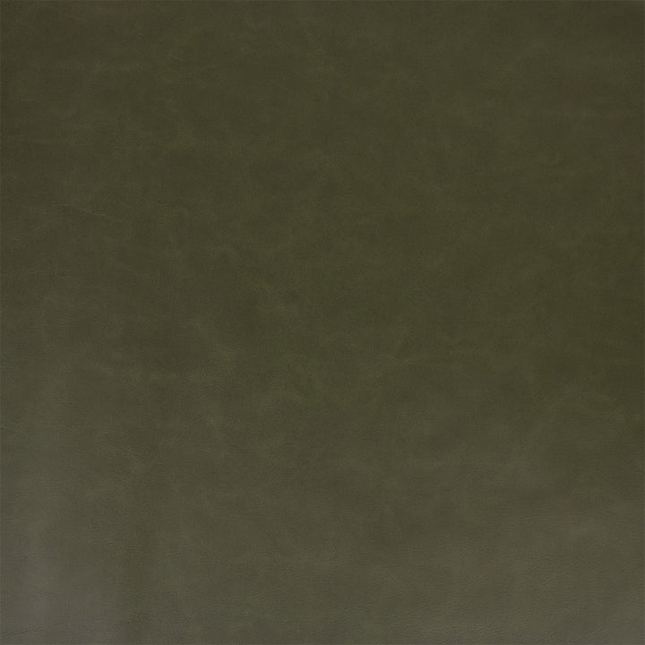 Greenhouse Fabric F5995 Cactus - 100% Pvc Polyester, Backing: 100% Polyester China 100000 UTR 54" - My Fabric Connection -