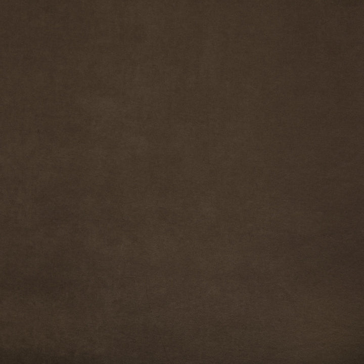 Greenhouse Fabric F6048 Tea - 100% Polyester China 40000 None 55" - My Fabric Connection -