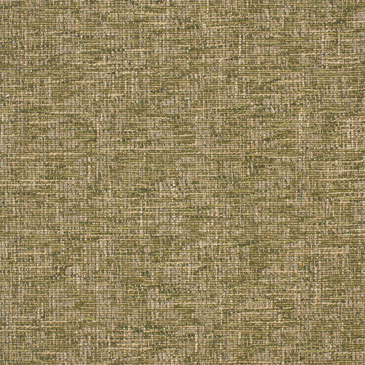 Greenhouse Fabric F6113 Herb - 100% Polyester China 12000 None 54" - My Fabric Connection -