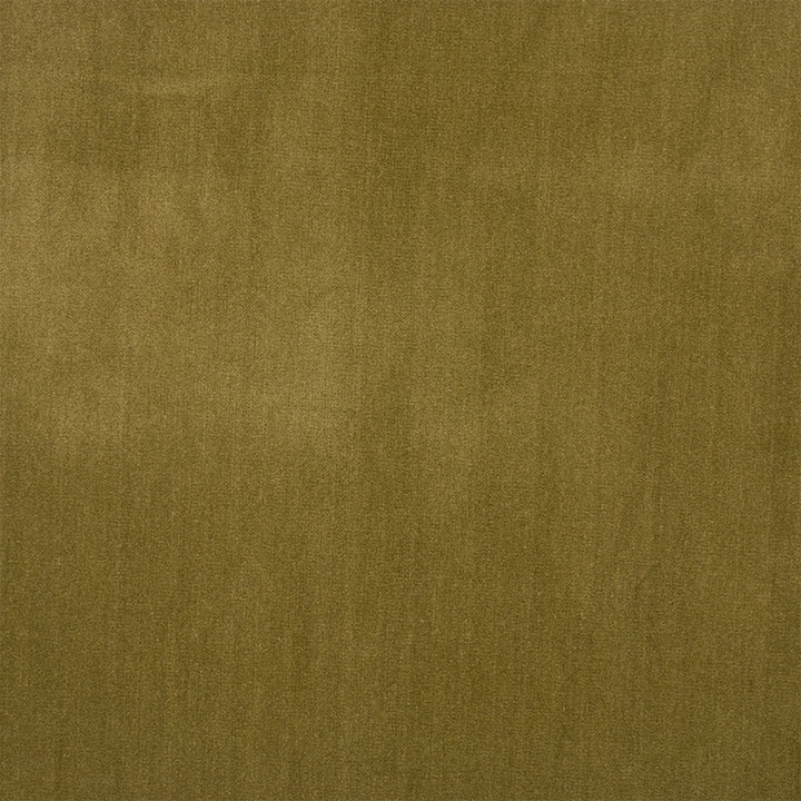 Greenhouse Fabric F6135 Alpine - 100% Polyester China 100000 None 56" - My Fabric Connection -