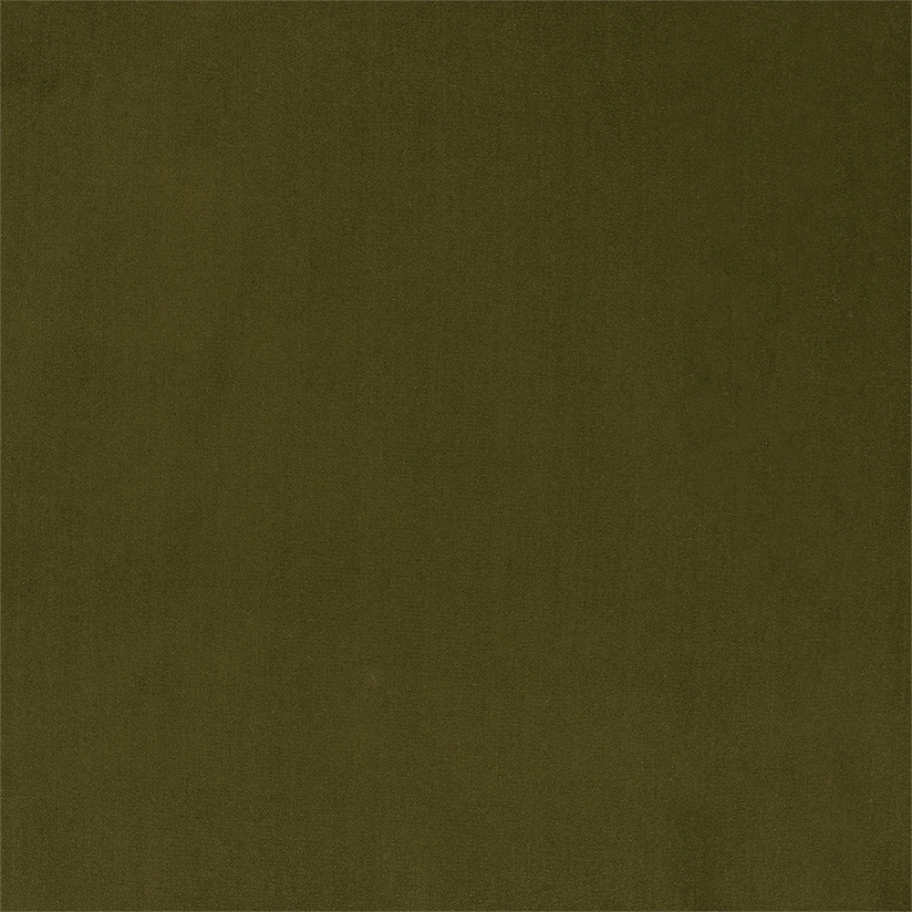 Greenhouse Fabric F6136 Olive - 100% Polyester China 100000 None 56" - My Fabric Connection -