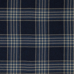 Greenhouse Fabric F6168 Admiral