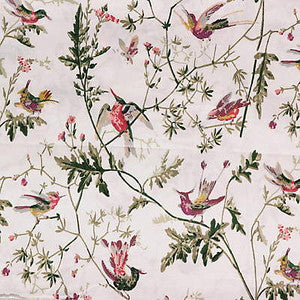 F62/1001.CS Hummingbirds Cotton Print Cream by Cole & Son Fabric