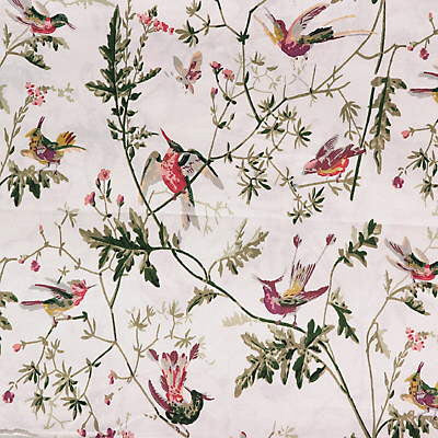 F62/1001.CS Hummingbirds Cotton Print Cream by Cole & Son Fabric David Easton Designs Cotton 100% United Kingdom Light Horizontal: 36 inches and Vertical: 21 inches 54 inches - Fabric Carolina -