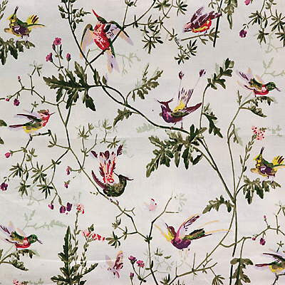 F62/1002.CS Hummingbirds Cotton Print Appley by Cole & Son Fabric David Easton Designs Cotton 100% United Kingdom Light Horizontal: 36 inches and Vertical: 21 inches 54 inches - Fabric Carolina -