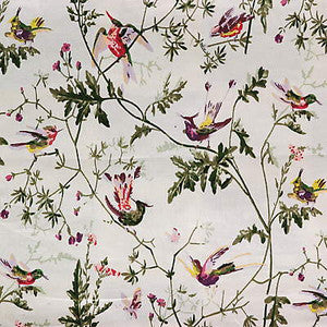 F62/1002.CS Hummingbirds Cotton Print Appley by Cole & Son Fabric