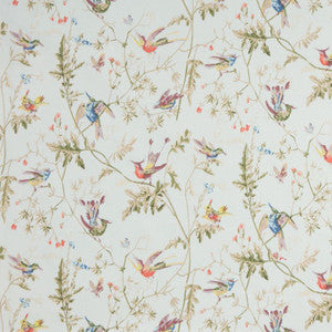 F62/1004.CS Hummingbirds Cotton Print Ruban by Cole & Son Fabric