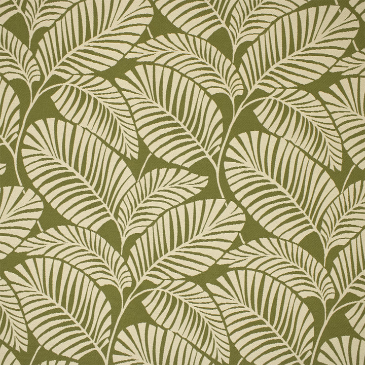 Greenhouse Fabric F6230 Grass - 69% Polypropylene, 31% Polyester Mexico 30000 11.4" H, 22" V 54" - My Fabric Connection -