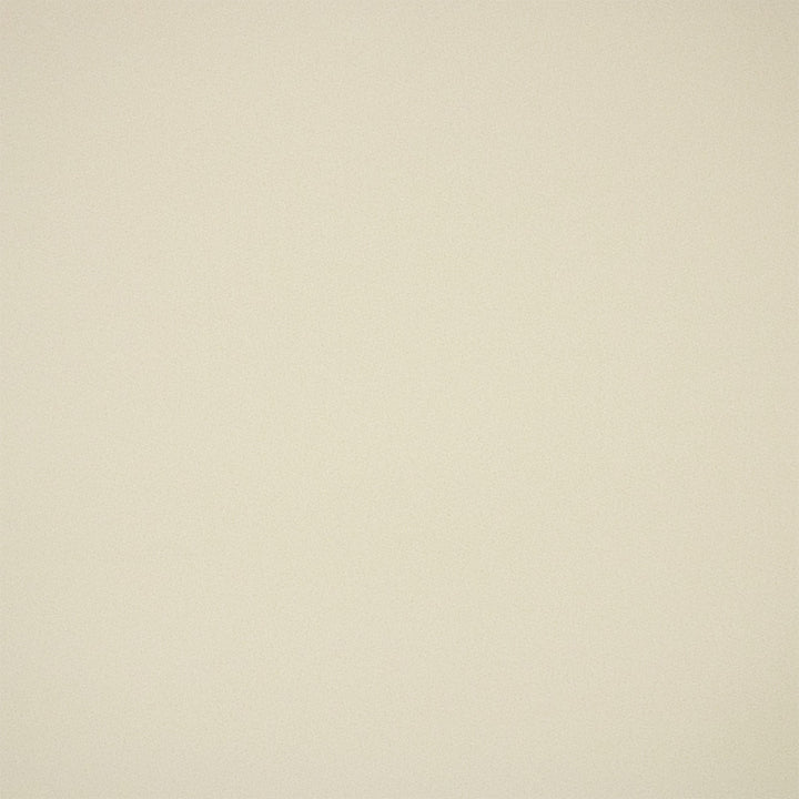 Greenhouse Fabric F6365 Eggshell - 100% Polyester China 100000 None 54" - My Fabric Connection -