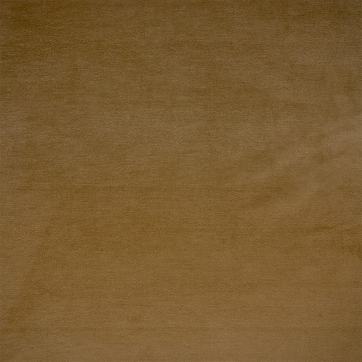 Greenhouse Fabric F6367 Vicuna - 100% Polyester China 100000 None 54" - My Fabric Connection -