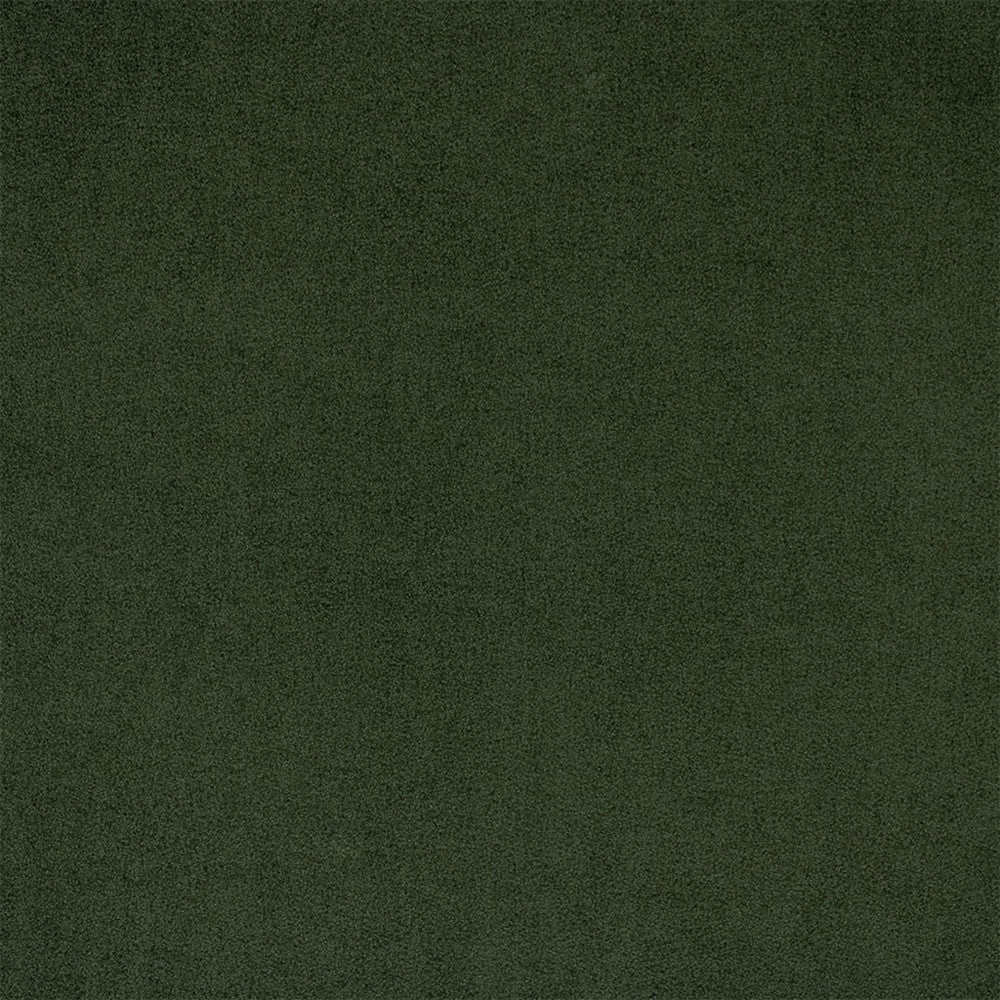 Greenhouse Fabric F6398 Pine - 100% Polyester China 100000 None 54" - My Fabric Connection -