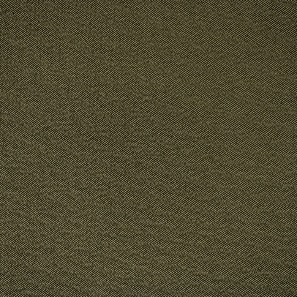 Greenhouse Fabric F6399 Moss - 100% Polyester China 100000 None 54" - My Fabric Connection -