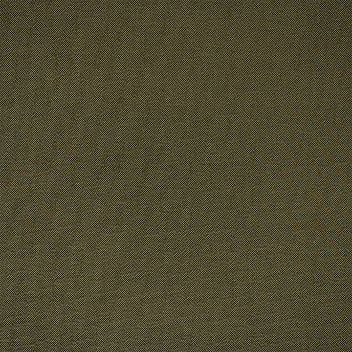 Greenhouse Fabric F6399 Moss - 100% Polyester China 100000 None 54" - My Fabric Connection -