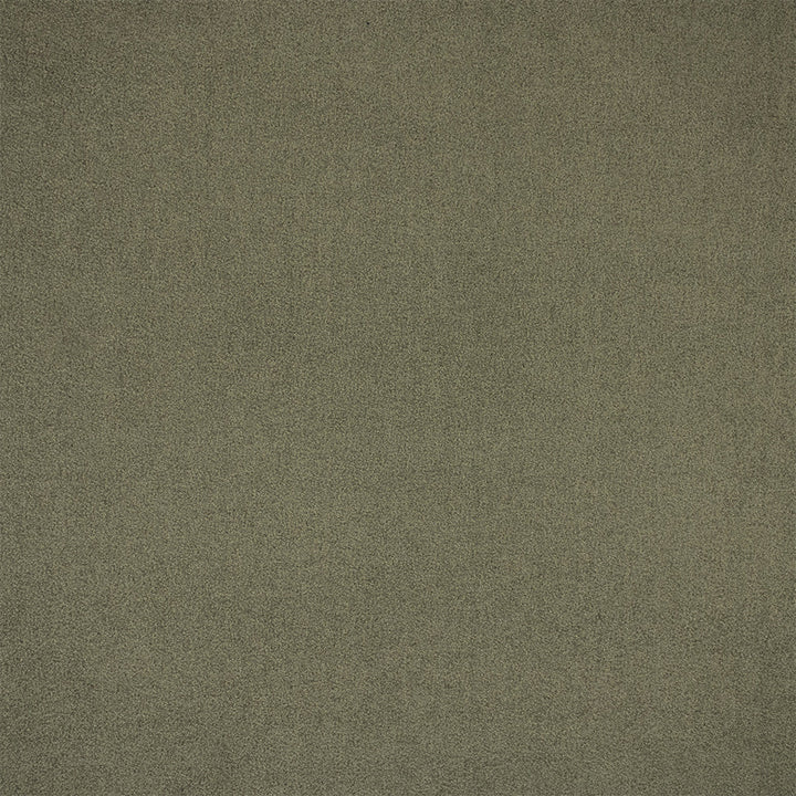 F6401 Sage by Greenhouse Designer Fabric - 100% Polyester China 100000 None 54" - Swanky Fabrics -