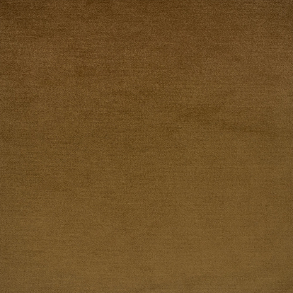 Greenhouse Fabric F6405 Camel - 100% Polyester China 100000 None 54" - My Fabric Connection -