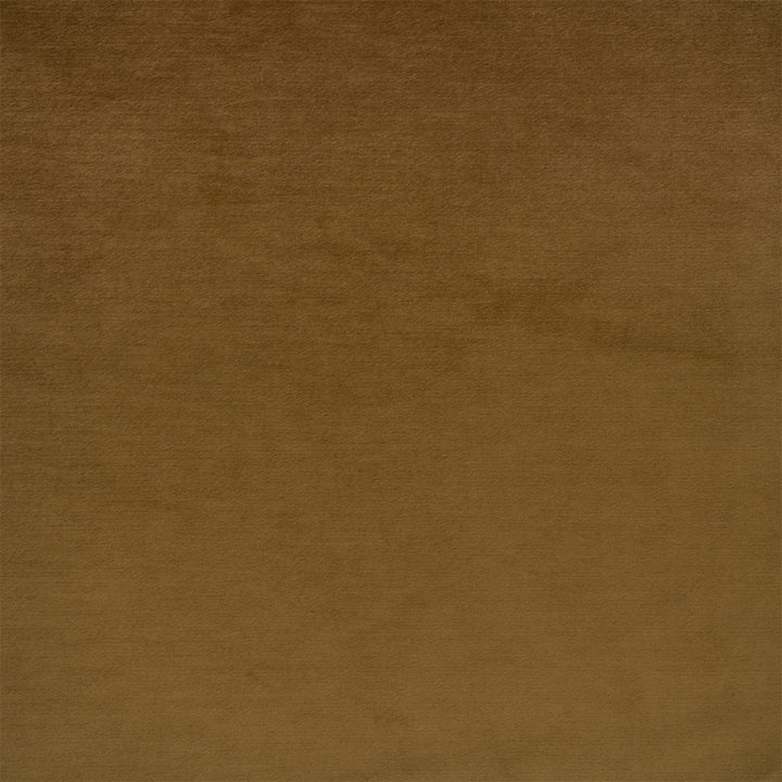 Greenhouse Fabric F6405 Camel - 100% Polyester China 100000 None 54" - My Fabric Connection -