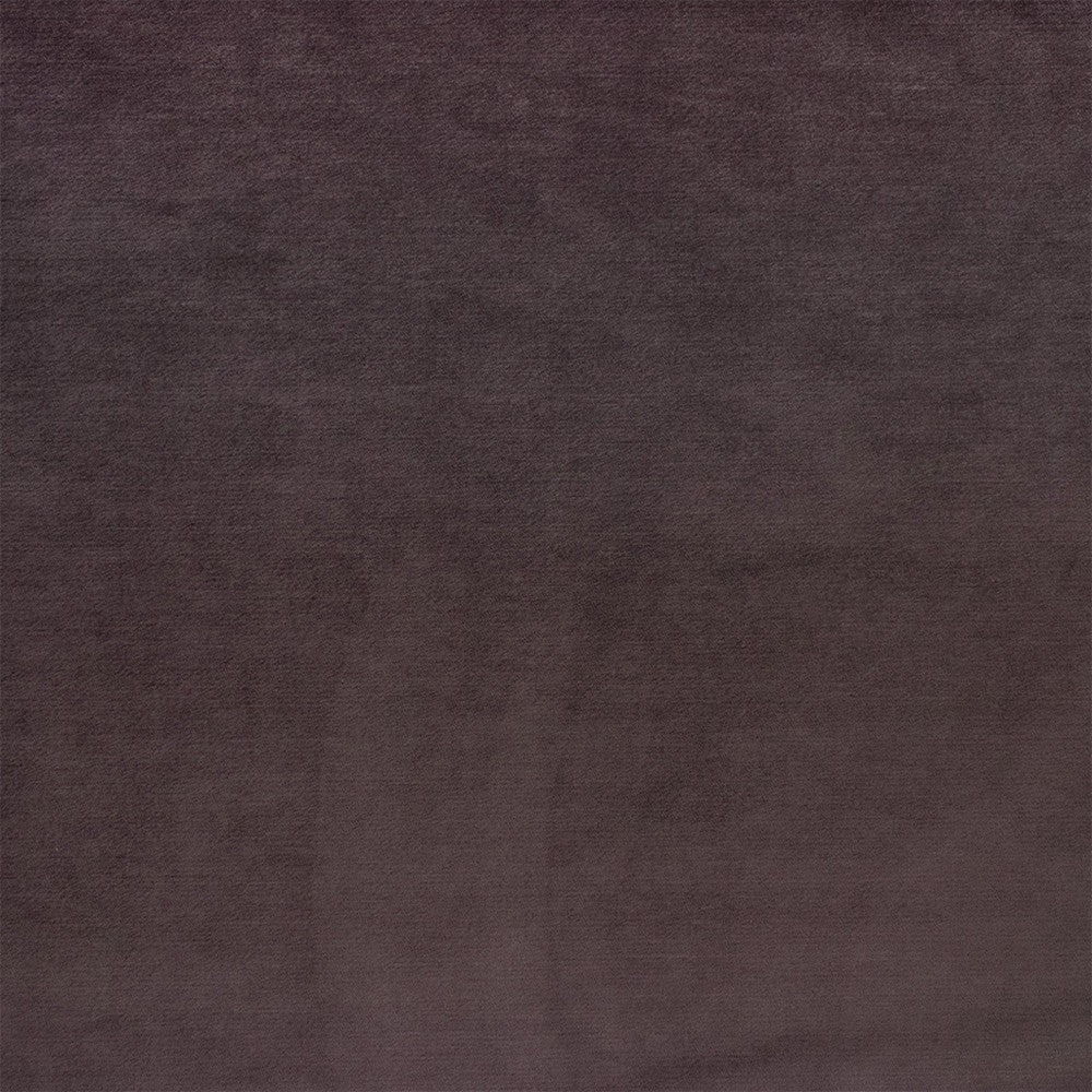 Greenhouse Fabric F6412 Plummett - 100% Polyester China 100000 None 54" - My Fabric Connection -