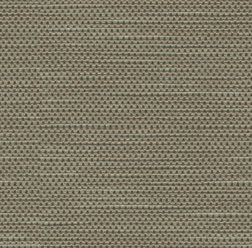 Fabiola Pewter by Kravet Basics Fabric