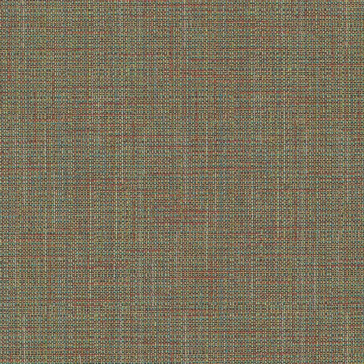 Fanelli Meadow by Kasmir Fabric 5073 58% Cotton
42% Polyester
 TAIWAN 15,000 Wyzenbeek Double Rubs Horizontal: N/A and Vertical: N/A 54 - Fabric Carolina -