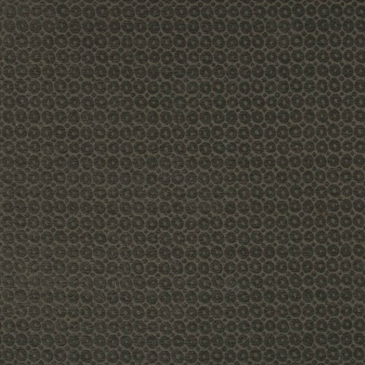 Fantina Charcoal by Kasmir Fabric 5101 100% Polyester
 CHINA </p><p>Repeat: Horizontal: 1 7/8 inches and Vertical: 2 1/8 inches 54 - 55 - Fabric Carolina -