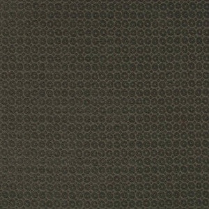 Fantina Charcoal by Kasmir Fabric